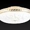 Накладной светильник Toplight Davina TL1482Y-05GC