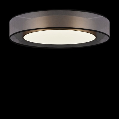 Потолочный светодиодный светильник Freya Zoticus FR6005CL-L48G  фото, kupilegko.ru