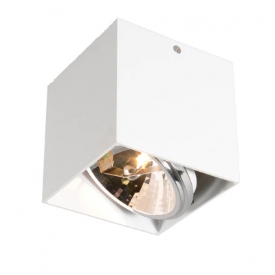 Потолочный светильник Zumaline Box sl1 89947-G9  фото, kupilegko.ru