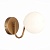 Бра, светильник настенный накладной Evoluce SLE220601-01  фото, kupilegko.ru