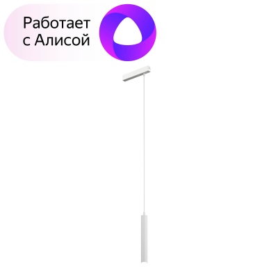 Трековый светодиодный светильник Denkirs DK8008-WH  фото, kupilegko.ru