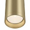 Потолочный светильник Maytoni Focus C010CL-01MG