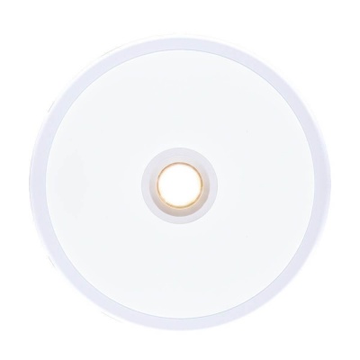 Встраиваемый светодиодный светильник Arte Lamp A2517PL-2WH  фото, kupilegko.ru