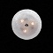 Потолочный светильник Lightstar Zucche 820830