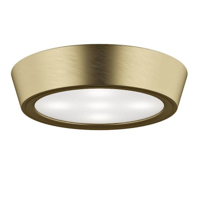 Потолочный светильник Lightstar Urbano 214912  фото, kupilegko.ru