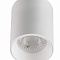 Потолочный светильник Denkirs DK3110-WH
