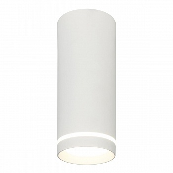 Потолочный светодиодный светильник Escada 20009SMU/02LED SWH  фото, kupilegko.ru