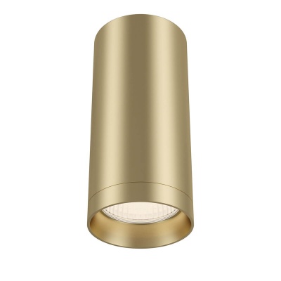 Потолочный светильник Maytoni Focus C010CL-01MG  фото, kupilegko.ru