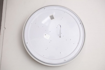Потолочный светодиодный светильник Escada 10246/1LED  фото, kupilegko.ru