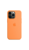 Чехол-крышка Apple MM2D3ZE/A MagSafe для iPhone 13 Pro, силикон, весенняя мимоза  фото, kupilegko.ru