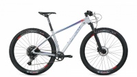 Велосипед 1121 (рост XL) 2019-2020, серый мат., RBKM0M69E003 Format  фото, kupilegko.ru